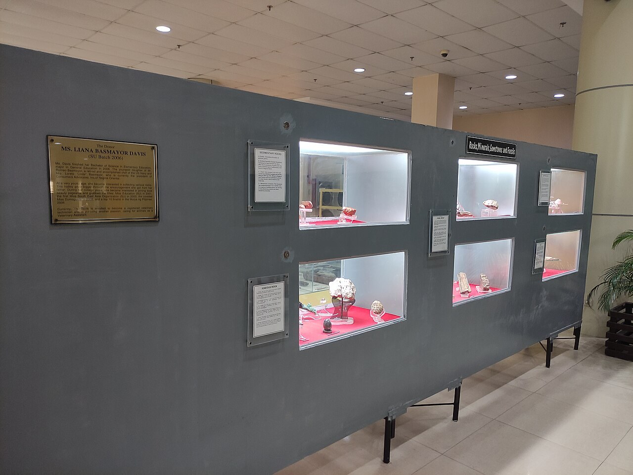 Museumsvitrine mit ausgestellten Mineralien